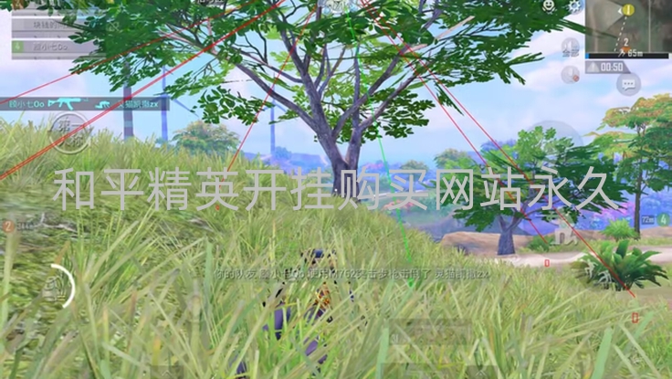 和平精英直装辅助 全新项目【天之蓝】登场 可以观透  - 和平精英开挂购买网站永久