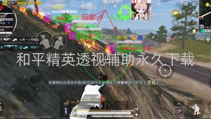 和平精英阳光竞技指南，透视辅助虽诱人，公平战场价更高