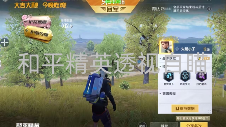 和平精英免ROOT直装辅助《艾拉西博》直装 -和平精英透视自瞄